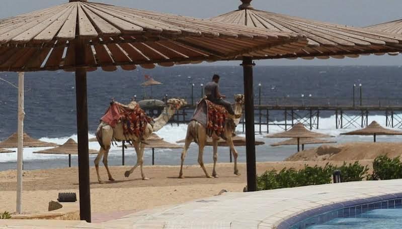 Life Resort Coral Hills El Qoseir Екстер'єр фото